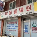 박순복동물병원 이미지