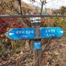 왕소나무집 이미지