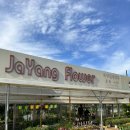 자양꽃직매장 이미지