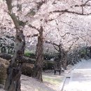 보문호반길 이미지