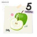 산소마을~한자보건소 | 임신 5주~6주차 일상 ❄️☃️🥔 (미즈메디병원, 아기집, 낮은피검, 초기 출혈 응급실)
