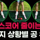 파크골프 5가지 상황별 '공 위치' 이미지