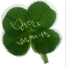 😍7월21일(화)출석하고 가실게요~🥰🤩 이미지