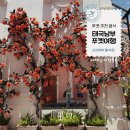 푸켓 여행 올드타운 투어 미쉐린 맛집 원춘(One Chun) 후기