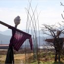 지동마을 이미지