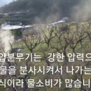 경운기 고압분무기와 치파랠리 결합 방제 이미지