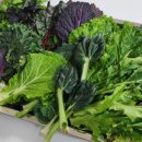 농부의 꿈 이미지