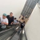 국립현대미술관 서울 데미안 허스트 주말 일요일 주차 후기