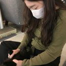 10주 우쿨렐레 완성 | 요즘 내 짧은 근황 **