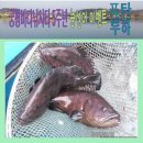 궁평바다낚시터