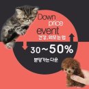 아담스펫강아지분양고양이분양