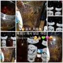 (주)금강송 이미지