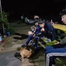경상고등학교