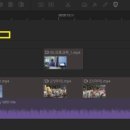 곰비디오 이미지
