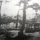 솔숲유원지 이미지