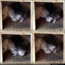 다락방 민박 이미지