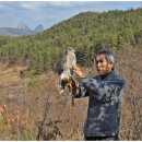 매사냥체험홍보관 이미지