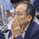 보강연합의원 헤럴드경제