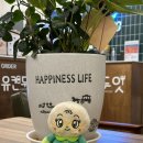 고기 여너 이미지