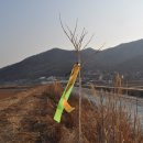 석모나루