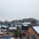 두운2리 장안말마을회관 | [2년 전 오늘] 강화나들길 두두미(두운2리) 마을-화남 고재형 생가 주변에 풀푸레나무와 아름다운...