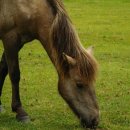 주동목장 이미지