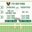 기흥 테니스장 이미지