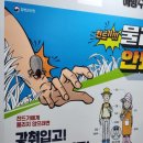 [모두농 서포터즈] 2024 대한민국 농업박람회 후기