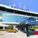 영월군 문화예술회관 이미지