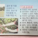 크리니아 이미지