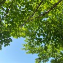 참바른한방병원 | 전주 허리병원 다녀도 결국은 (n년차 디스크 후기)