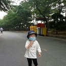베베라피네