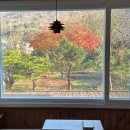 어느날성주 이미지