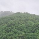 바다소리건축사사무소