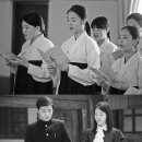 신윤주 카카오 검색결과