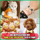 멍냥디저트 이미지