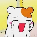 ㅂㅂㅂㅂ 이미지