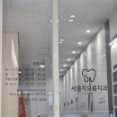 365서울차오름치과의원 네이버블로그