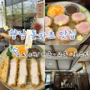 향남점 현대자동차 | [향남 맛집] 도이제- 저온숙성 돈카츠 히레·로스 부드러움 끝판왕 재방문 찐후기