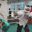 팀위너 복싱핏 이미지