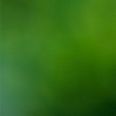 첫마을치과의원 이미지