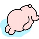 예가애견 이미지