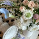 베리베리데이플라워