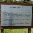 홍이상선생묘 및 신도비 이미지