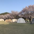 칠포오토캠핑장 이미지