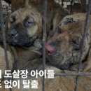 주식회사 이노바이오 이미지