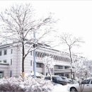 염광교회 앞 이미지