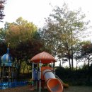 주성이네 옷 이미지