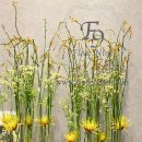 플로리스트자격 이미지