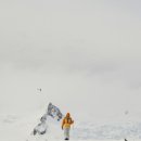 한국 SGI 이미지